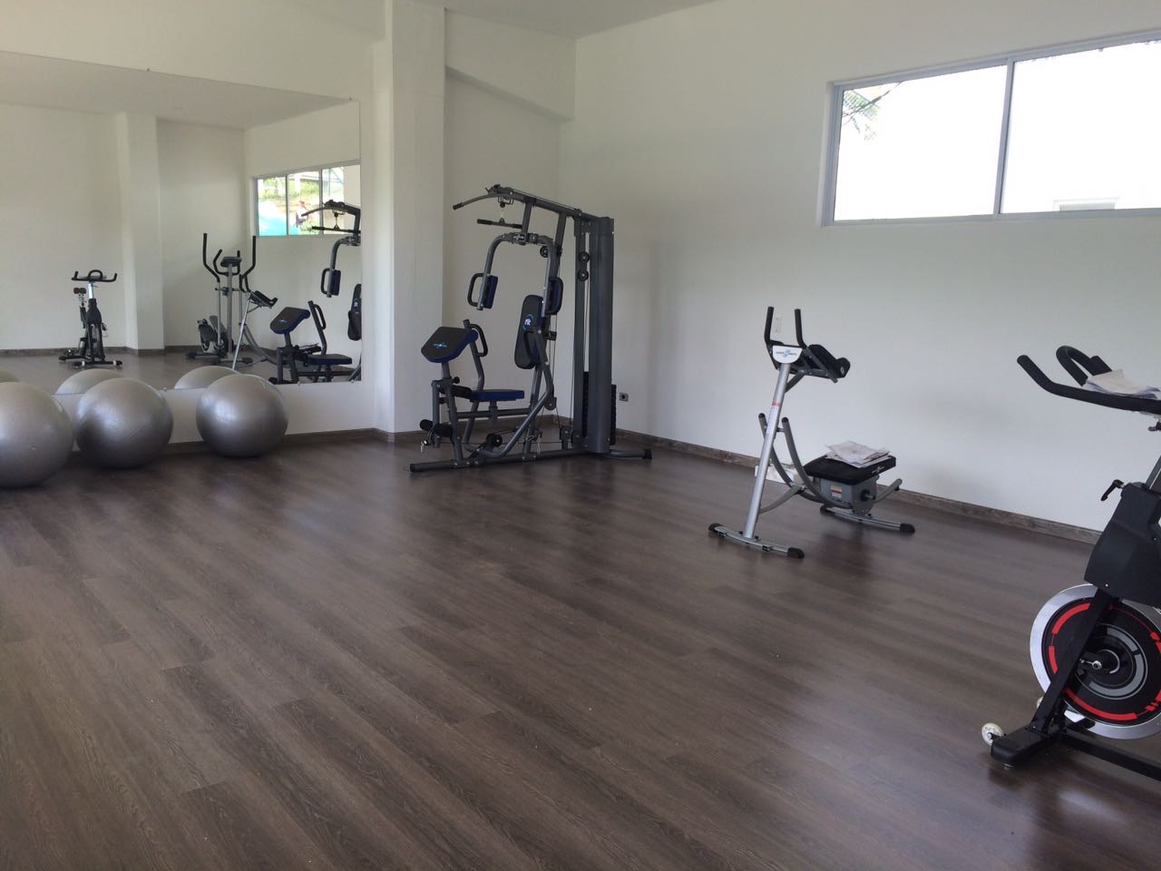 Gimnasio
