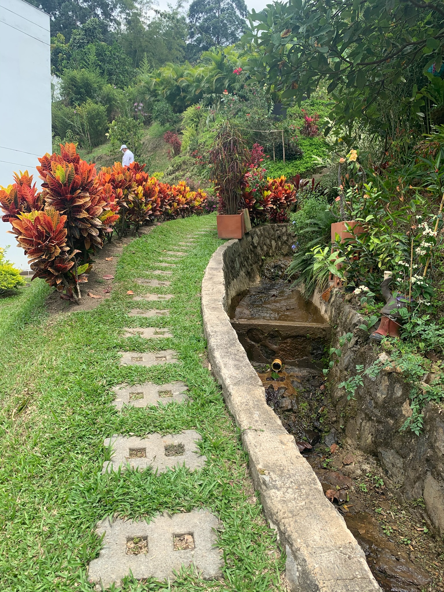 Senderos ecológicos